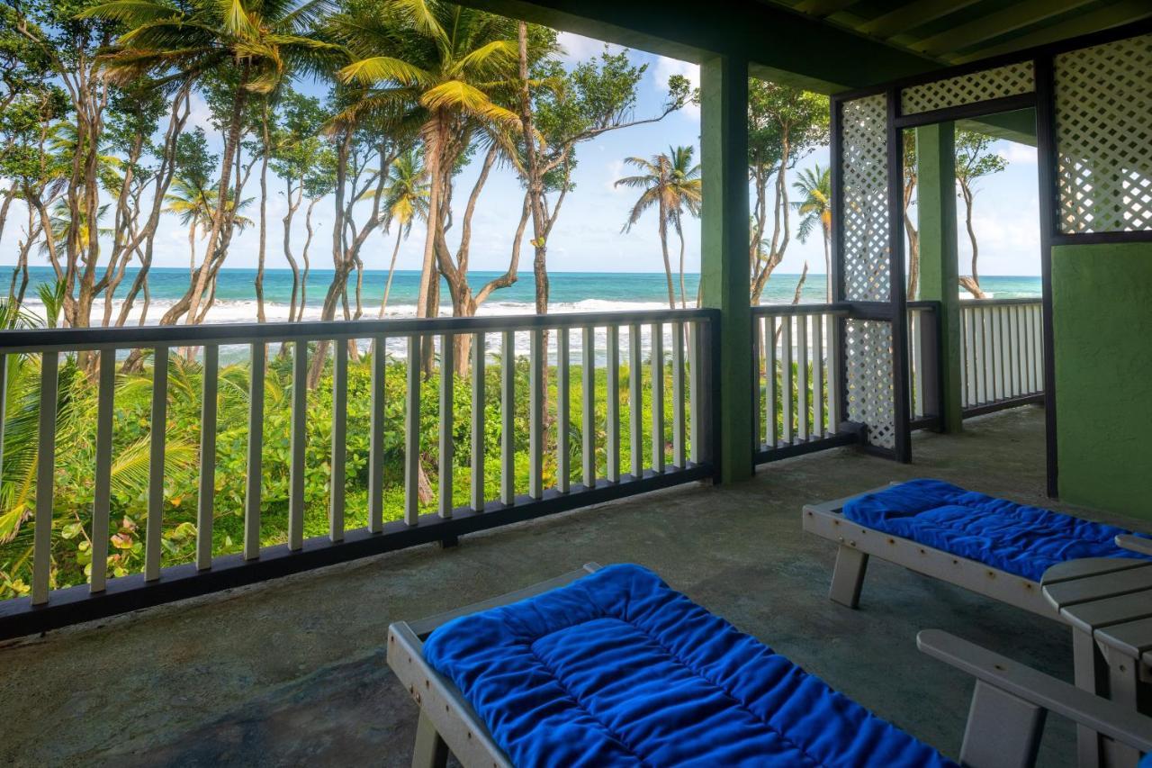 Rosalie Bay Eco Resort & Spa Eksteriør bilde