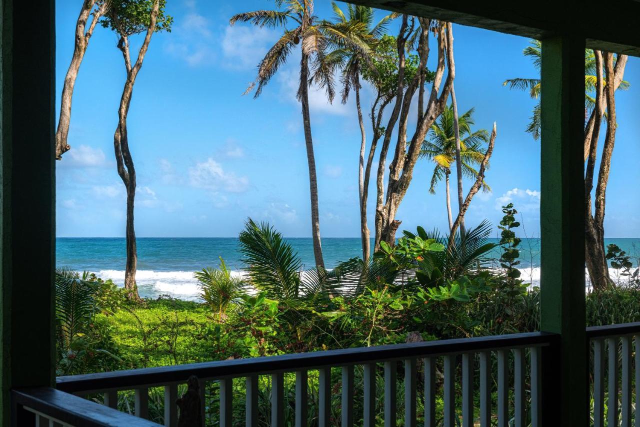 Rosalie Bay Eco Resort & Spa Eksteriør bilde